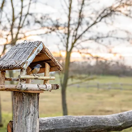 Lejlighed Szantodpusztai Majorsag *