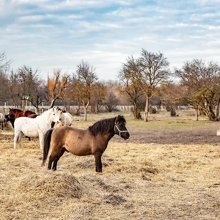 Lejlighed Szantodpusztai Majorsag Szántód