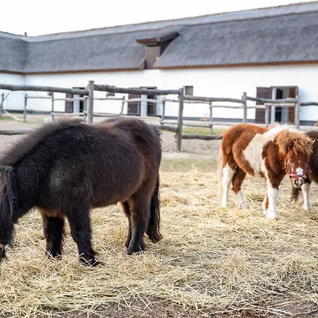 Szantodpusztai Majorsag דירה Szántód