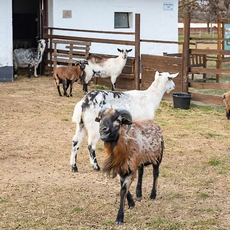 Szantodpusztai Majorsag Lejlighed *
