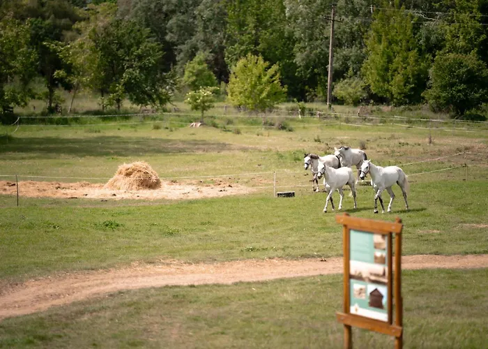 Апартаменты Szantodpusztai Majorsag *