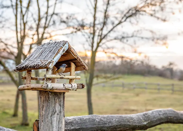 Апартаменты Szantodpusztai Majorsag *