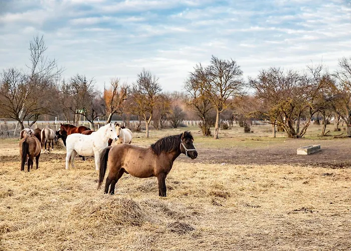 Appartement Szantodpusztai Majorsag Szántód
