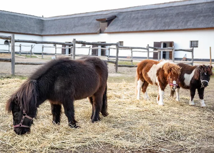 Szantodpusztai Majorsag Appartement Szántód