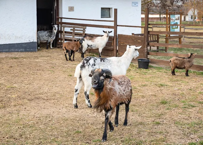 Szantodpusztai Majorsag Appartement *